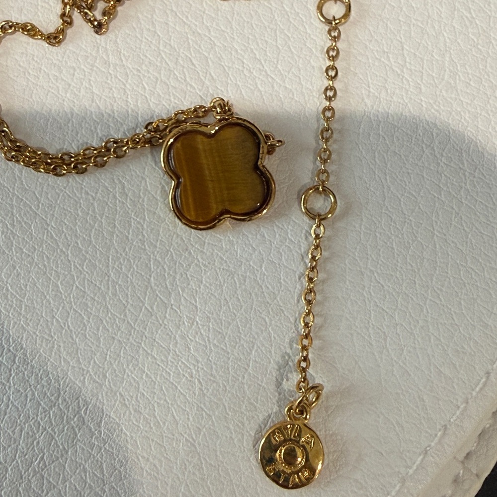 Freida Rothman Tiger Eye necklace, NYLA star collection.